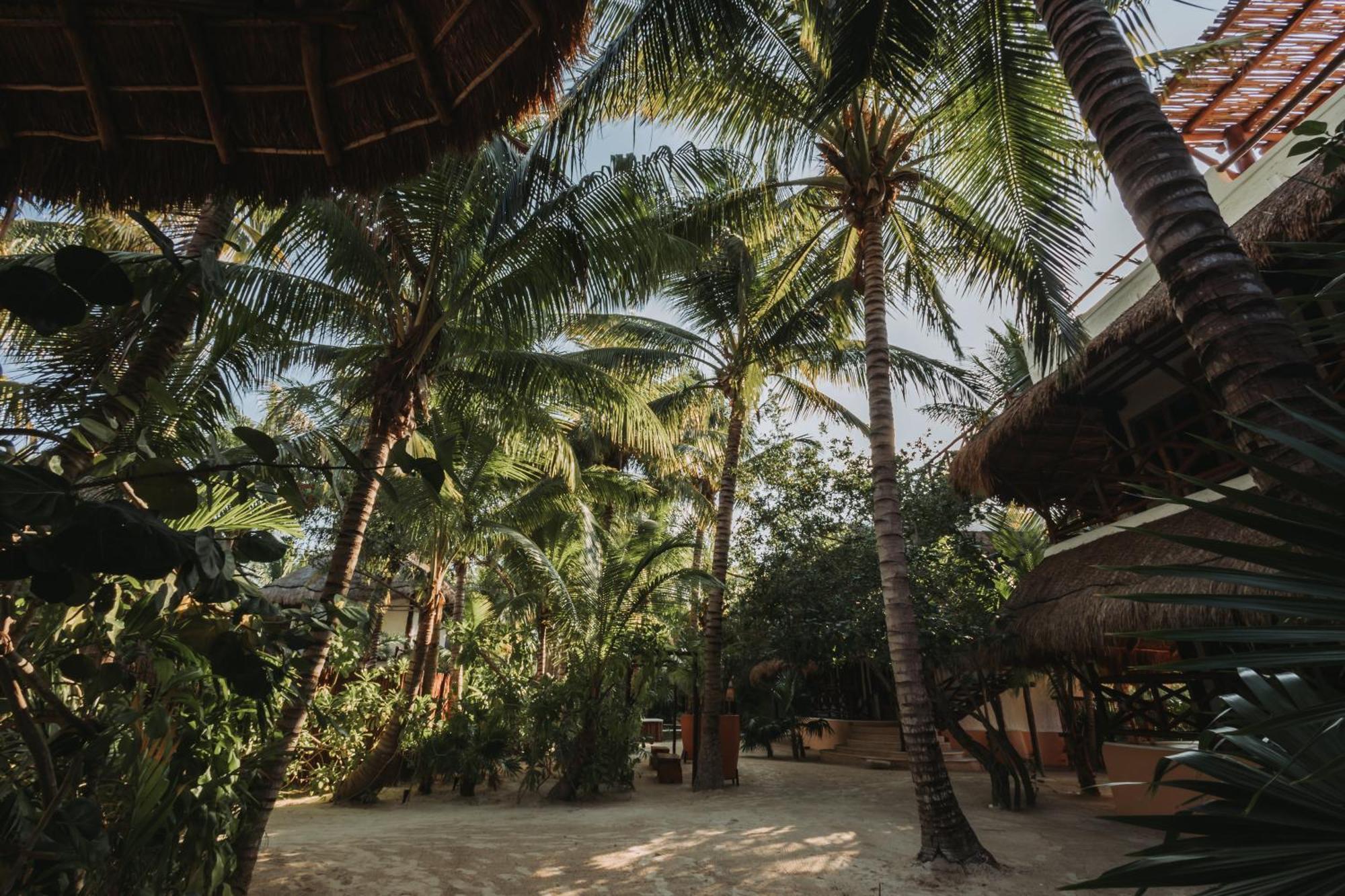 Las Nubes De Holbox Buitenkant foto